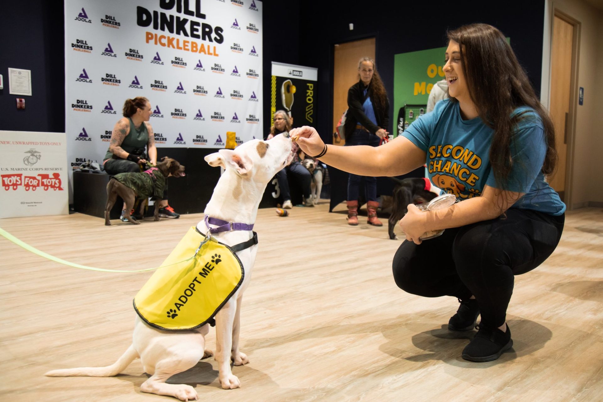 Wholesome dog treats made with real ingredients